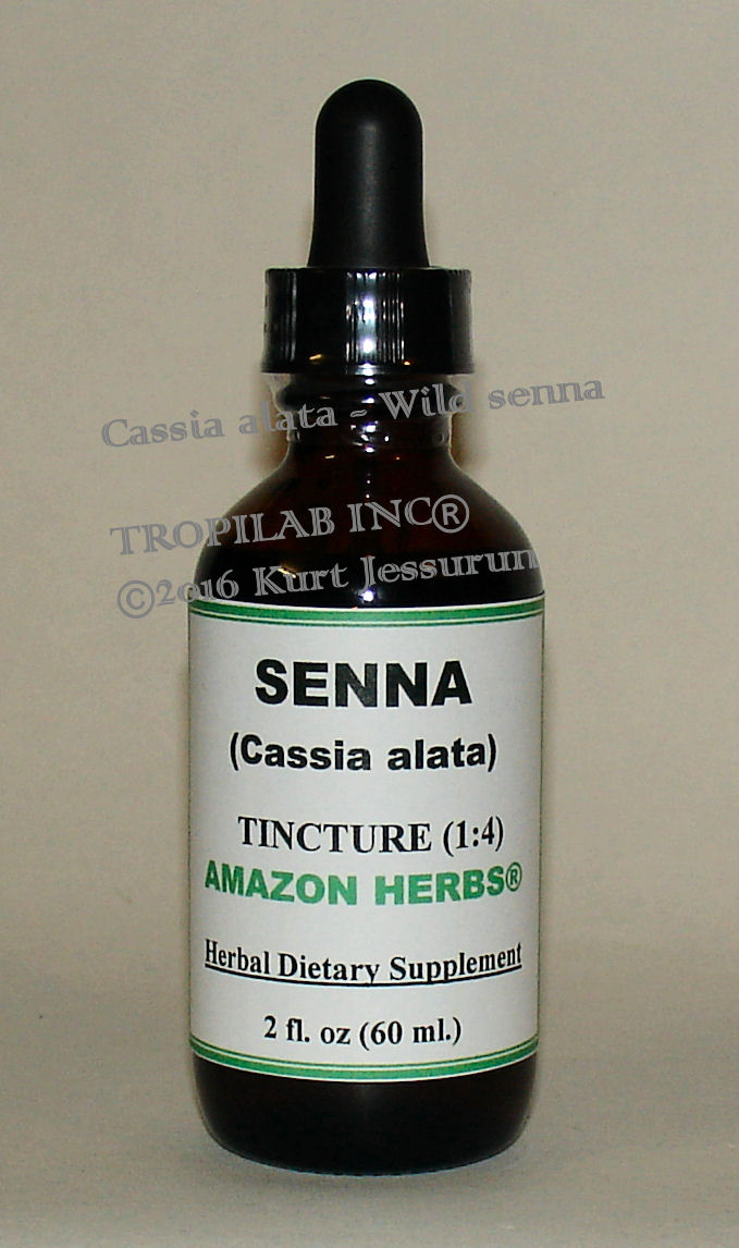 Cassia alata - Wild senna tincture, only for US$18.65 per 2 fl oz. Senna is a powerful herb, used in the natural treatment of
 constipation. It is used skin conditions and hypertension. It is very effective as an antibacterial and antifungal agent